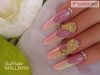 BB COVER BUILDER GEL műköröm ÉPÍTŐ zselé 15ML