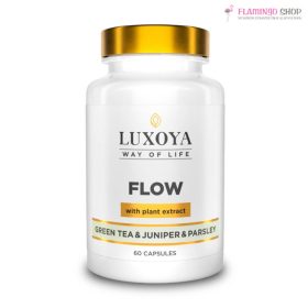 Luxoya Flow 60db