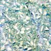 NV Disco Glitter - Mint Breeze