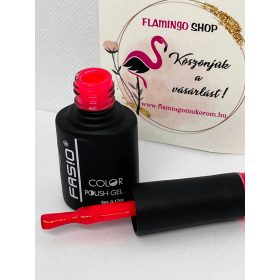 FASIO GÉL LAKK 067 FASIO GÉL LAKK 067